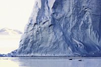 Whales around iceberg © John Weller